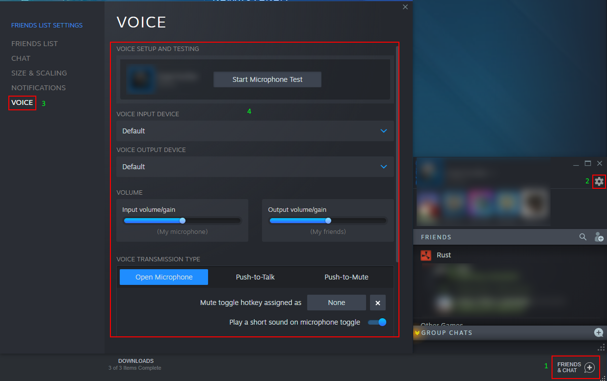 Chat settings voice steam How to